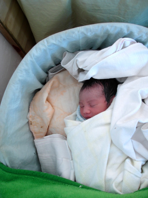 The newest member of the Palmerston family, baby boy Marsters born there on our last day.